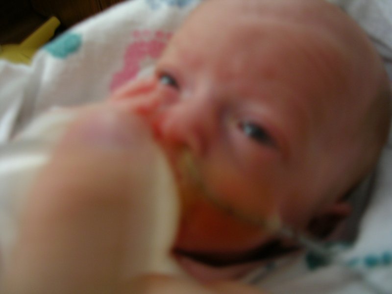 maggie8-23 (8)